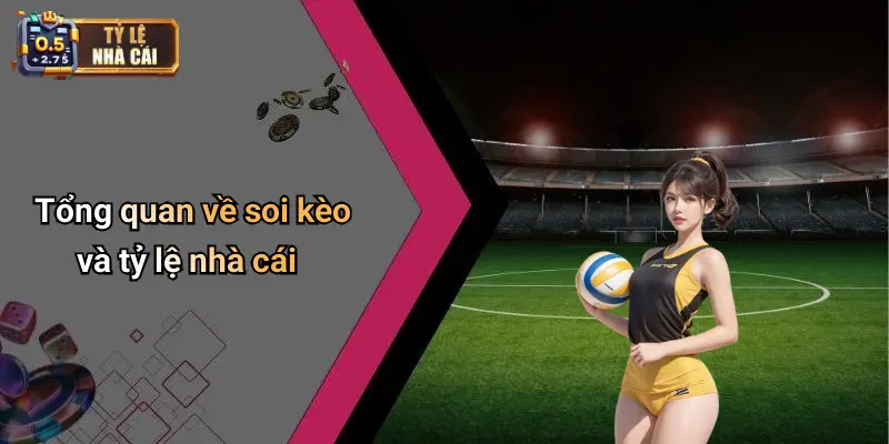 Tổng quan về soi kèo và tỷ lệ nhà cái