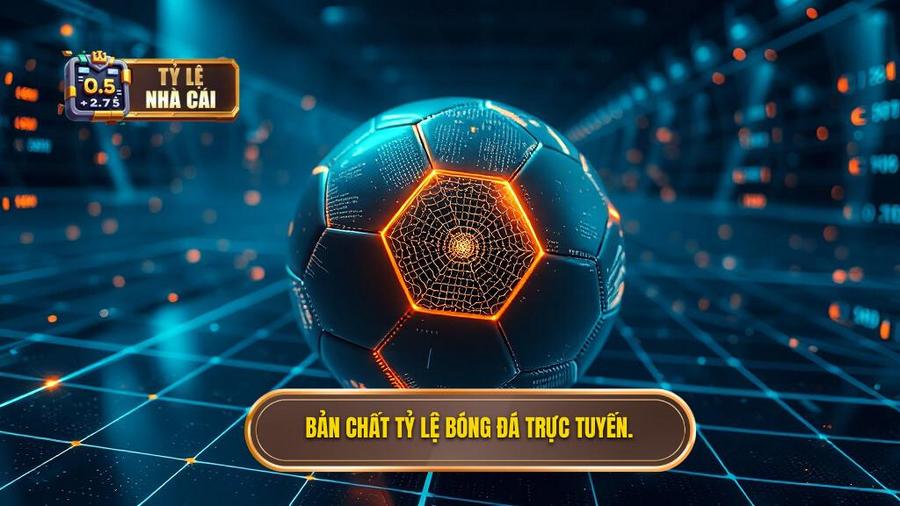 Hiểu đúng về bản chất của tỷ lệ bóng đá