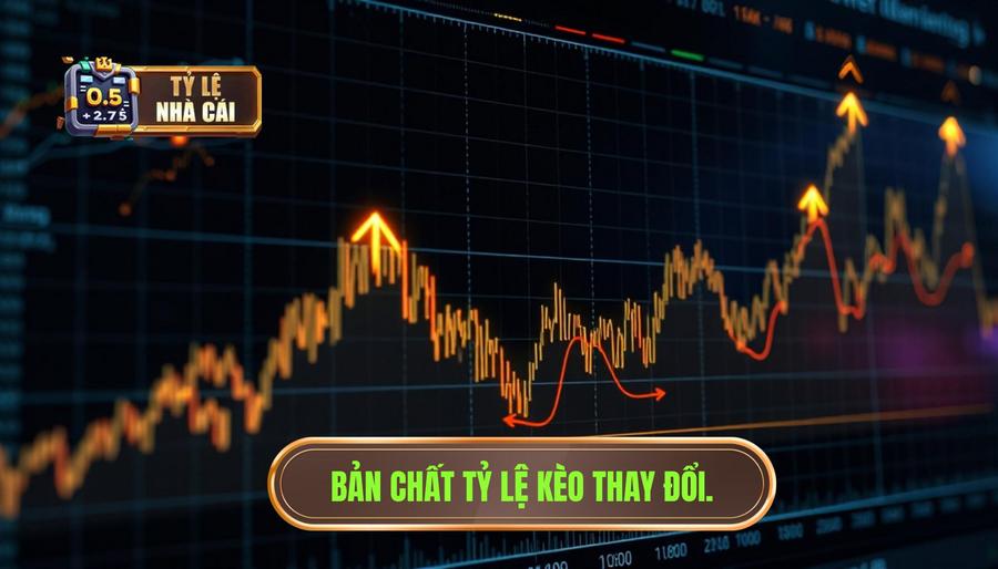 Bản chất của việc tỷ lệ kèo thay đổi liên tục